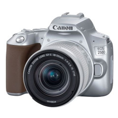 EOS 250D Silver Canon DSLR + objetivo EF-S 18-55mm f/4-5.6 IS STM